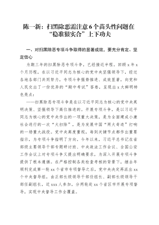 陈一新：扫黑除恶需注意6个苗头性问题在“稳准狠实合”上下功夫