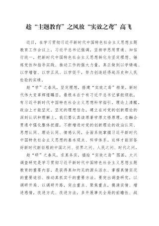 趁“主题教育”之风 放“实效之鸢”高飞
