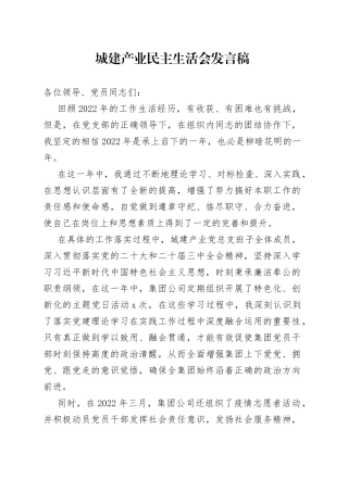 城建产业民主生活会发言稿