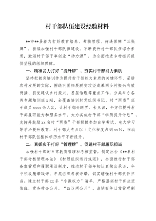 村干部队伍建设经验材料