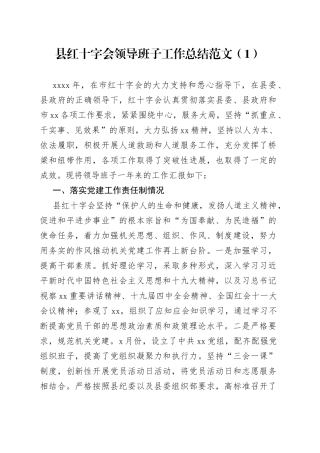 红十字会领导班子工作总结