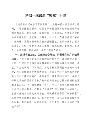 基层一线锻造“硬核”干部