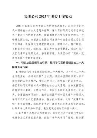 集团公司2023年团委工作要点