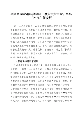 集团公司党建经验材料：聚焦主责主业，突出“四抓”促发展