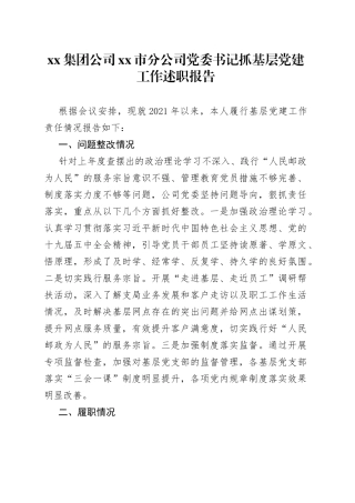 集团公司市分公司党委书记抓基层党建工作述职报告