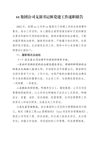 集团公司支部书记抓党建工作述职报告