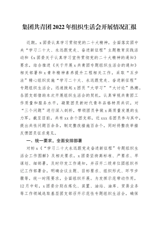 集团共青团2022年组织生活会开展情况汇报