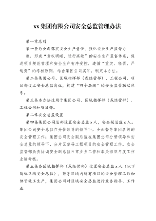 集团有限公司安全总监管理办法