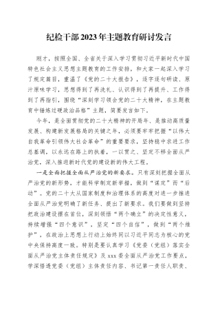 纪检干部2023年主题教育研讨发言