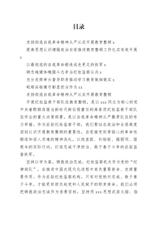 纪委书记（纪检组长）谈教育整顿感悟合集