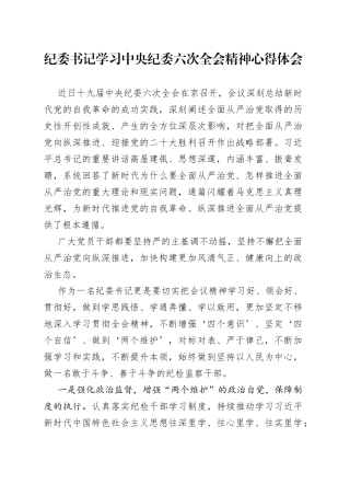 纪委书记学习中央纪委六次全会精神心得体会