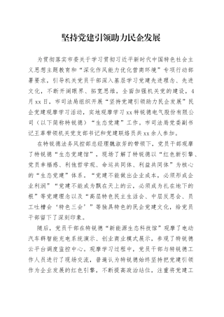 坚持党建引领 助力民企发展（20230427）