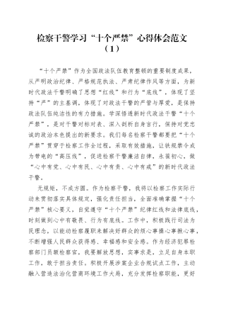 检察干警学习新时代政法干警十个严禁心得体会4篇
