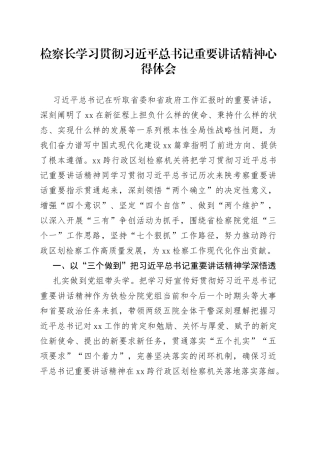 检察长学习贯彻习近平总书记重要讲话精神心得体会