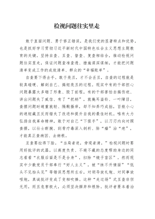 检视问题往实里走