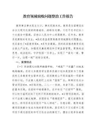 教育领域腐败问题整治工作报告