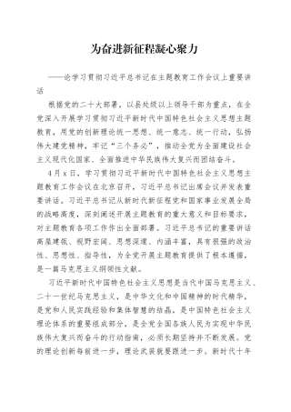 论学习贯彻习近平总书记在主题教育工作会议上重要讲话（20230405）
