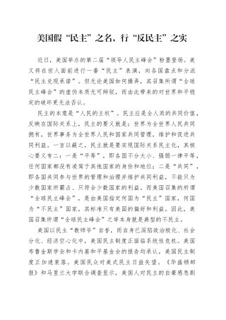 美国假“民主”之名，行“反民主”之实