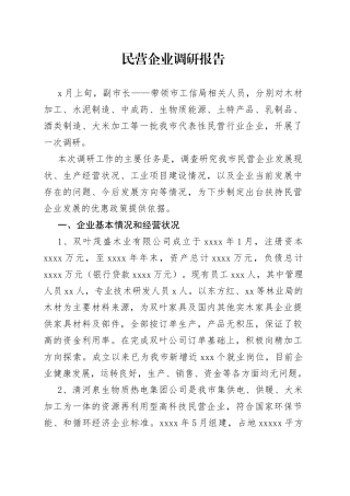 民营企业调研报告