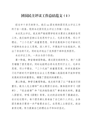 民主评议团员工作总结2篇