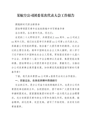 某航空公司团委某次代表大会工作报告