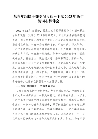 某青年纪检干部学习习近平主席2023年新年贺词心得体会