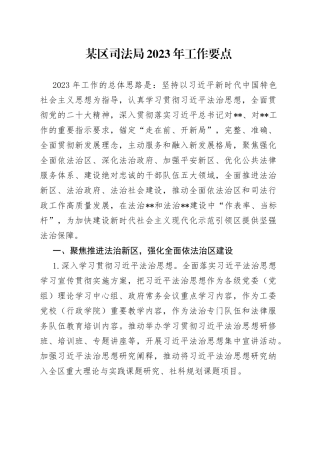 某区司法局2023年工作要点