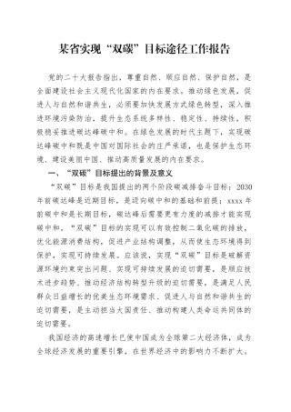 某省实现“双碳”目标途径工作报告