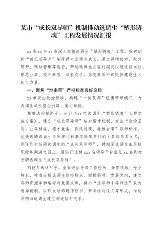 某市“成长双导师”机制推动选调生“塑形铸魂”工程发展情况汇报