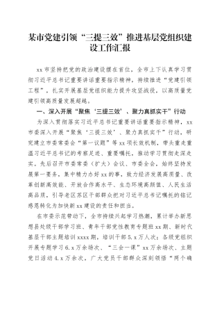 某市党建引领“三提三效”推进基层党组织建设工作汇报