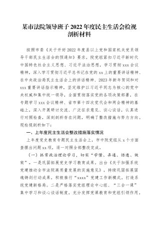 某市法院领导班子2022年度民主生活会检视剖析材料
