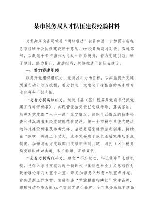 某市税务局人才队伍建设经验材料