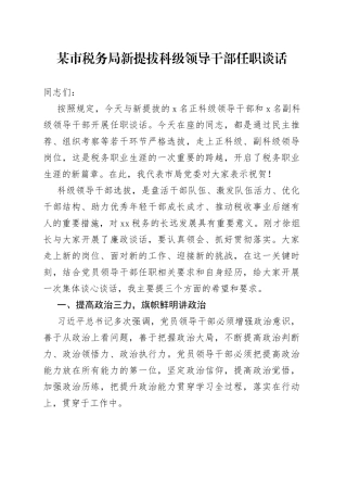 某市税务局新提拔科级领导干部任职谈话