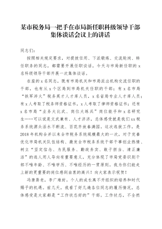 某市税务局一把手在市局新任职科级领导干部集体谈话会议上的讲话