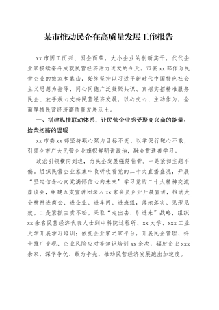 某市推动民企在高质量发展工作报告