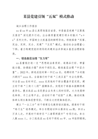 某县党建引领“五双”模式推动城乡治理工作报告
