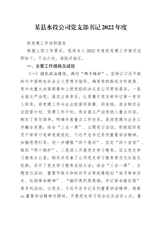 某县水投公司党支部书记2022年度抓党建工作述职报告