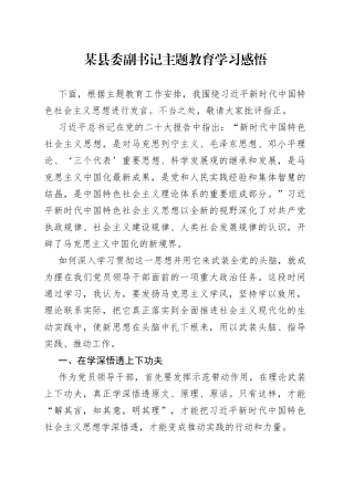 某县委副书记主题教育学习感悟