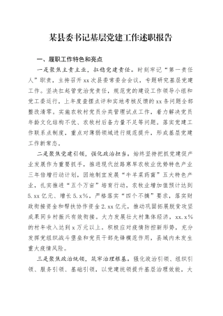 某县委书记基层党建工作述职报告