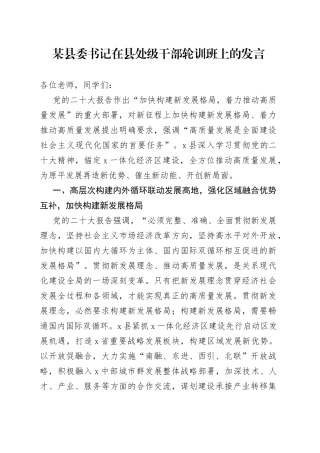 某县委书记在县处级干部轮训班上的发言