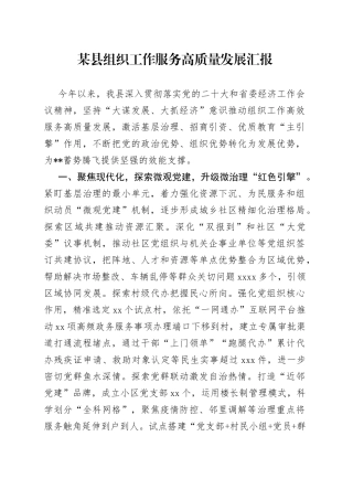 某县组织工作服务高质量发展汇报