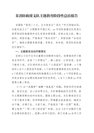 某消防救援支队主题教育阶段性总结报告