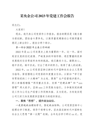 某央企公司2023年党建工作会报告