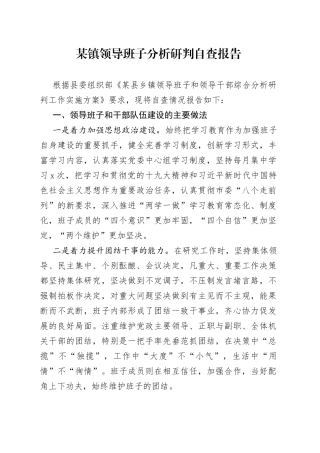 某镇领导班子分析研判自查报告