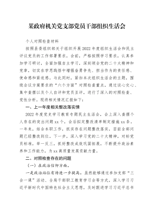 某政府机关党支部党员干部组织生活会个人对照检查材料