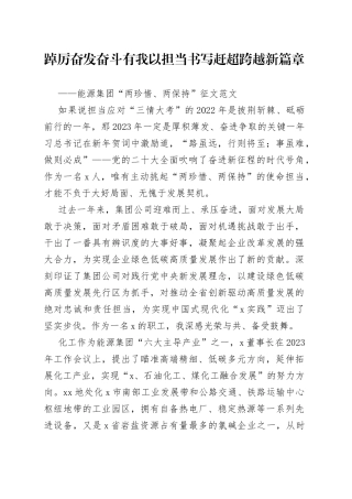 能源集团两珍惜两保持征文奋斗担当