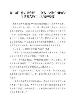 凝“新”聚力促发展——全省“两新”组织学习贯彻党的二十大精神综述（20230131）