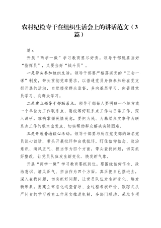 农村纪检专干在组织生活会上的讲话3篇