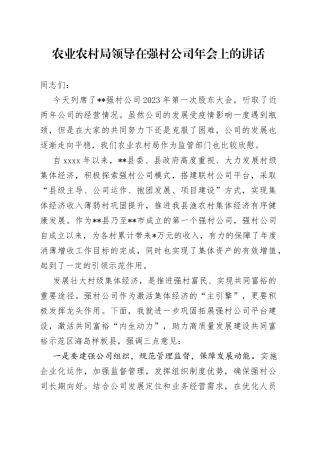 农业农村局领导在强村公司年会上的讲话