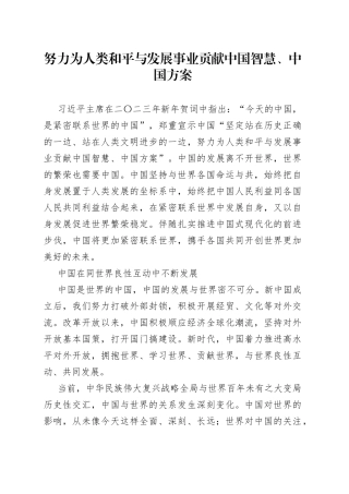 努力为人类和平与发展事业贡献中国智慧、中国方案
